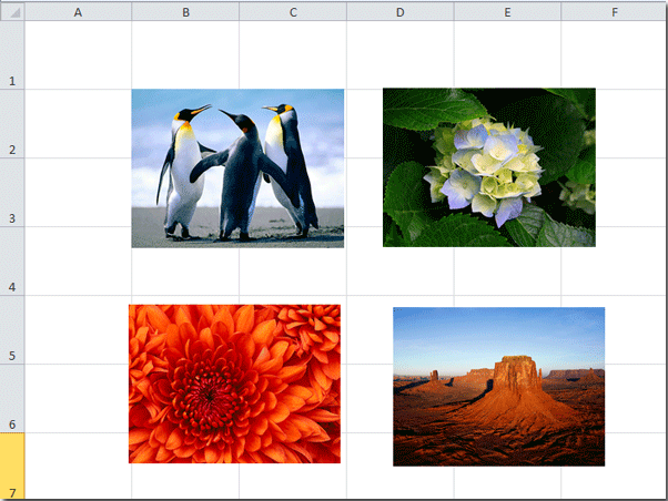 Шаг 1: Вставьте фотографии в лист и выберите изображение, которое вы хотите изменить, чтобы поместиться в одну ячейку